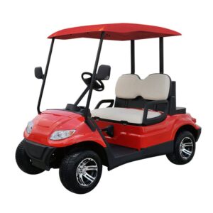 Lvtong 2 Seater -Electric Golf Cart - Avantizone.com