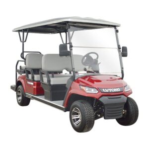 6 Seaters Golf Cart With Rear Seats - Avantizone.com